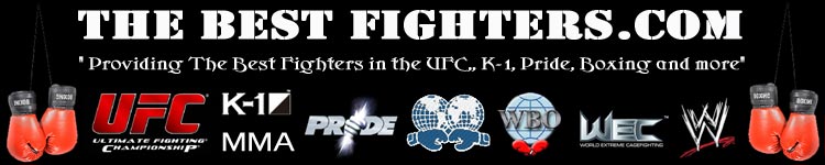The Best Fighters